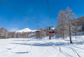 Appartamento Stella Alpina - Image 5