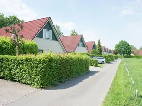 Nice Apartment With Wifi, Near the Forest and Nijmegen - Image 5