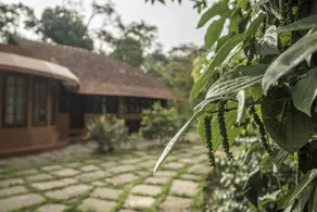 Brindavan Estate Homestay A Wandertrails Showcase - Image 3