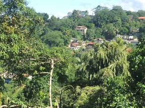 Birds Hill Homestay - Image 3