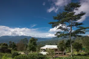 Ramboda Villa - Image 5