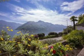 Camelia Lake View - Image 3