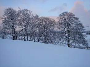 Littlebank Country House - Image 3