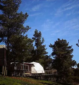 Lemudomos Lodge & Glamping - Image 4