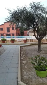 Alba Marina Di Lozari - Image 2