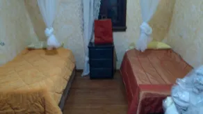 Anemon Ozdemir Bag Evi - Image 3