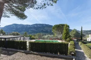Pinos - Image 3