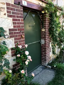 Evergreen - Image 5