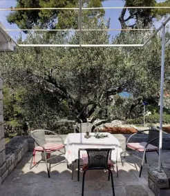 Olive 150 m From sea H - Image 3