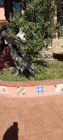 VILLA ANGELA Scenic Valley - Image 2
