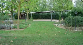 Vinyes de l'Empordà - Image 5