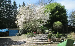 Little House - Image 4