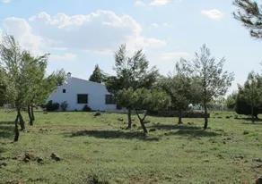 El Romeral de la Laguna - Image 3