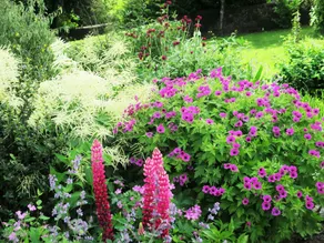 Highland Spirit Bed and Breakfast - Image 4