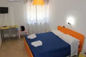 Il Tulipano - Image 3