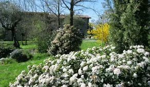 Le Casacce - Image 5