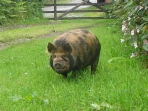 Headgate Farm B&B - Image 3