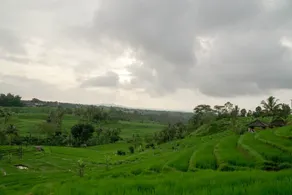 Dukuh Baturan Villa - Image 4