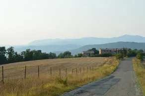 Fattoria Di Statiano - Image 3