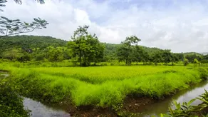 V Resorts Aranya Kashid - Image 3