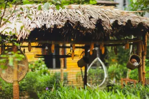 The Art - Golden Jungle House - Image 3