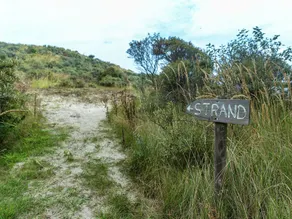 Holiday Home in the Dunes of Burgh-haamstede With a View of the Lighthouse - Image 3