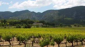 La Bastide De Voulonne - Image 5