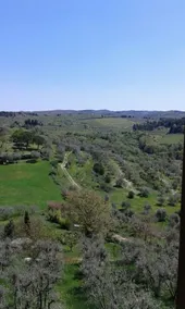 Dolce Cuore luxe apartment chianti area - Image 2
