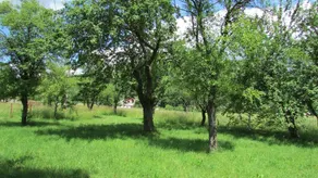 House With 2 Bedrooms in Sinac, With Enclosed Garden and Wifi - 25 km - Image 4