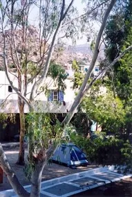 The Purple Pig - Image 5