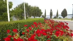 Sans Souci Family - Image 3