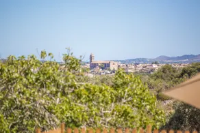 Son Mieres Den Pep - Image 3