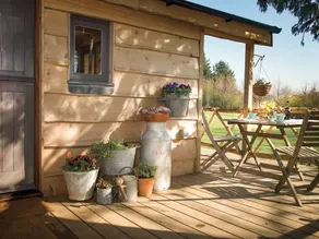 Cedarwood - Image 5