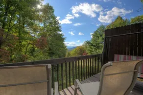 Wildflower Mountain Cottage - 3 Br Home - Image 5