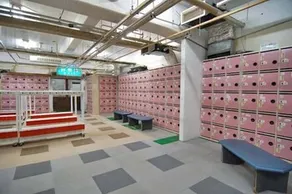 Diamond Shiga - Image 5