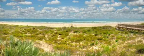 Amazing Oceanview, Family Reunions, Sleeps 16 - Image 2