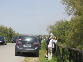 Villa Dede - Image 3
