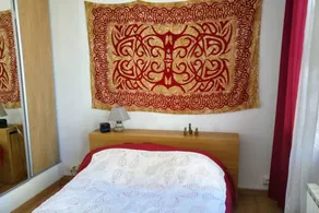 Beautiful 2-room Apartment-downtown/cours Julien - Image 3