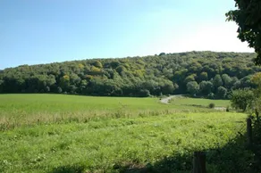 The Woodland Cottage - Image 4