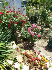 Apartment With 3 Bedrooms in Nans-les-pins, With Wonderful Mountain View, Shared Pool, Enclosed Garden - 40 km From the Beach - Image 2