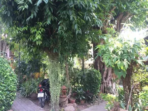 Pravee House - Image 4