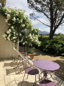 Le Domaine De Tini - Image 3