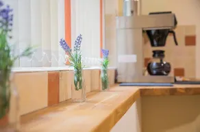 The Annexe @ Elmbank B&B - Image 5