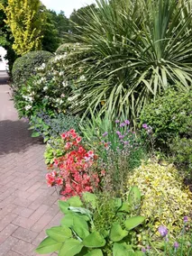 Cabin set in a Beautiful Romantic Tropical Garden - Image 2