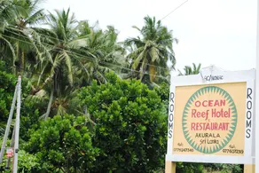 Ocean Reef Hotel - Image 5