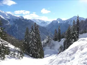 Chalet Hotel Rhododendrons - Image 4