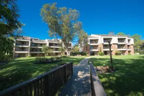 Sweetwater at Lake Conroe - Image 5