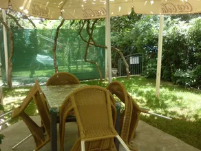 Apartments Vila Kamelija - Image 5