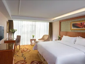 Vienna Classic Hotel (Shenzhen MixC Mall) - Image 3