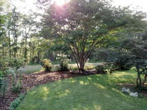 Four Mile Bed & Breakfast - Image 4